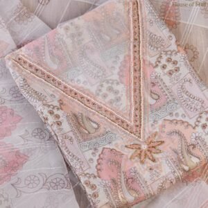 Noor Organza V-Cut Suit